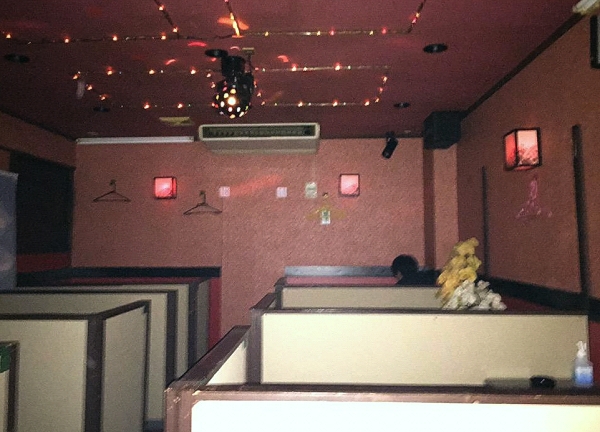 �V���s���T��/�{�Ԃł��镗�����